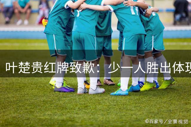 叶楚贵红牌致歉：少一人胜出体现团队实力